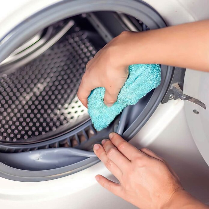 Reliable Local Drain Repairs